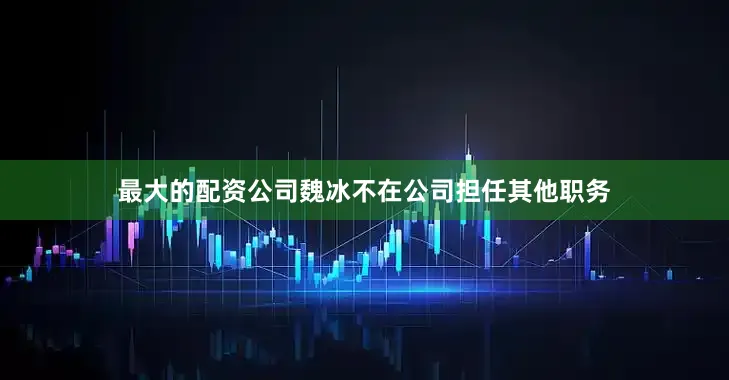 最大的配资公司魏冰不在公司担任其他职务