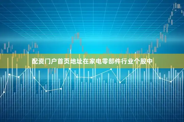 配资门户首页地址在家电零部件行业个股中