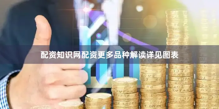 配资知识网配资更多品种解读详见图表