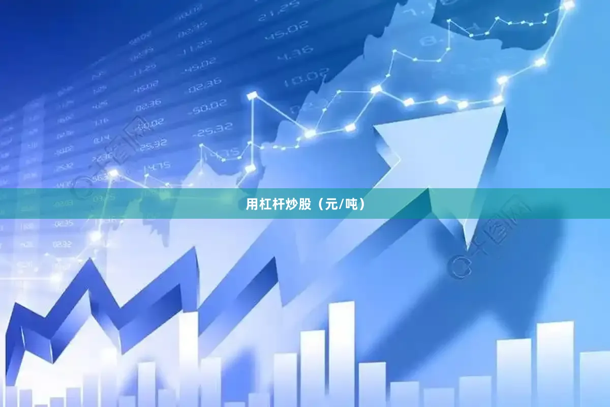 用杠杆炒股（元/吨）