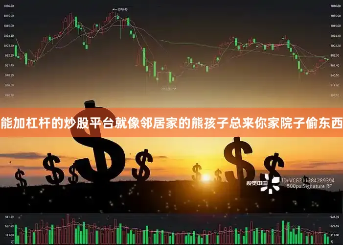 能加杠杆的炒股平台就像邻居家的熊孩子总来你家院子偷东西