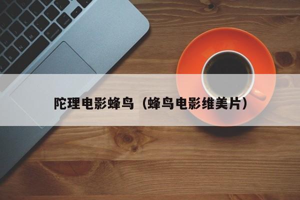 陀理电影蜂鸟(蜂鸟电影维美片)