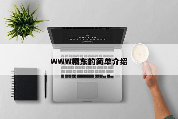 WWW精东的简单介绍
