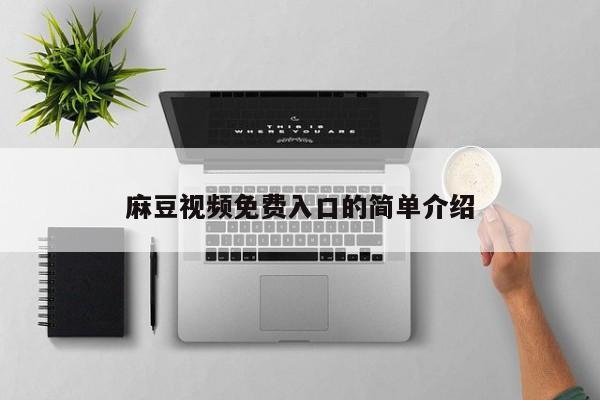麻豆视频免费入口的简单介绍